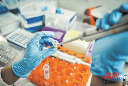 睿樂達再次吸睛 從機器人到原研藥，看成都566.8億元高新技術產品背后的創新韌性